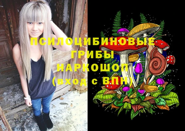 прущий лед Аркадак
