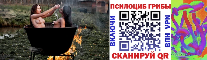 Псилоцибиновые грибы мухоморы  как найти закладки  Кадников 